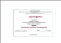 
   Сертификат участника городского конкурса инновационной  педагогической деятельности   "Образ жизни - здоровье!" 2018